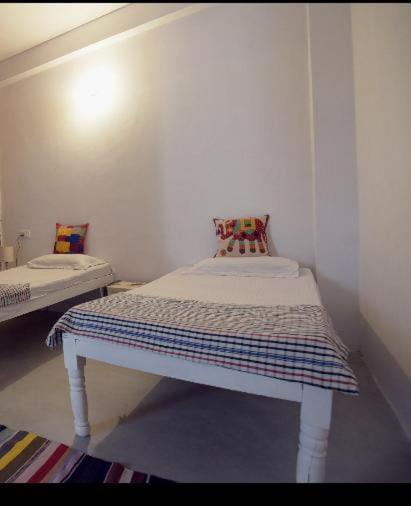 Eco Family Hostel 자이푸르 외부 사진