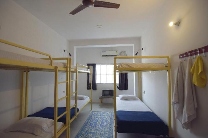 Eco Family Hostel 자이푸르 외부 사진