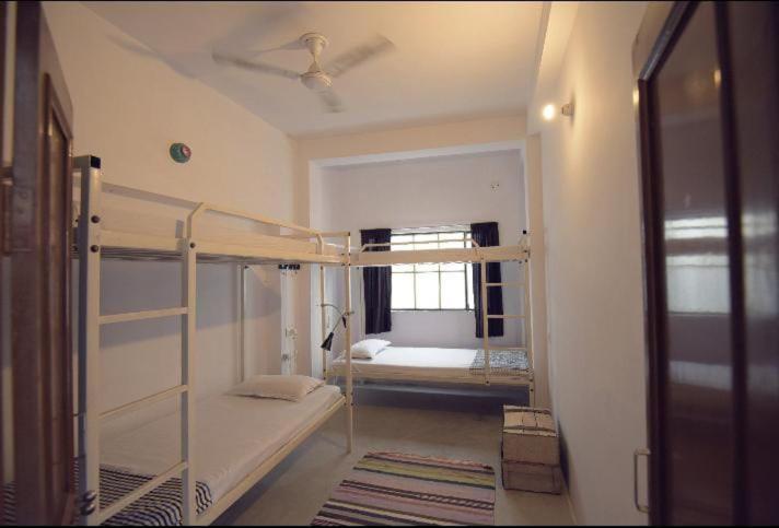 Eco Family Hostel 자이푸르 외부 사진