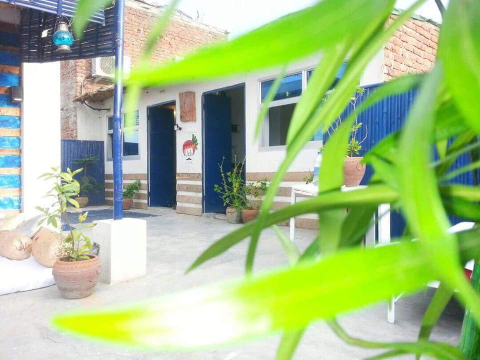 Eco Family Hostel 자이푸르 외부 사진